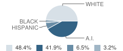 Our Home School Student Race Distribution