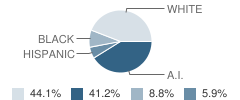 Summit Oaks-Residential School Student Race Distribution