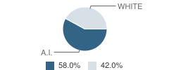 Timber Lake Middle School Student Race Distribution