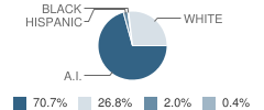 Wagner Elementary School Student Race Distribution