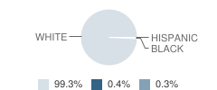 Alvin C York Institute School Student Race Distribution