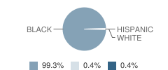Mcs Preparatory School - Southwest Student Race Distribution