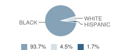 Howard Academy of Academics Technology Student Race Distribution