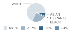 Campus Elementary School Student Race Distribution