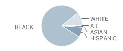 Colonial Middle School Student Race Distribution