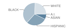 Henry Maxwell Elementary School Student Race Distribution