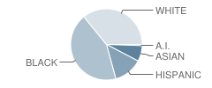 Dexter Elementary School Student Race Distribution