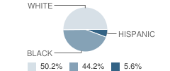 Union City Middle School Student Race Distribution