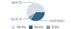 Wallace Accelerated High School Student Race Distribution