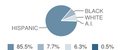 Lighthouse Charter School Student Race Distribution