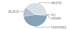 Hardwick Elementary School Student Race Distribution