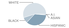 Haynes Elementary School Student Race Distribution