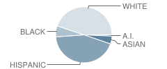 Williams Elementary School Student Race Distribution