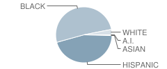 M L King Academy Student Race Distribution