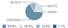 San Antonio Preparatory Academy Student Race Distribution