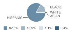 Young Learners School Student Race Distribution