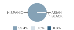 Tornillo Intermediate School Student Race Distribution