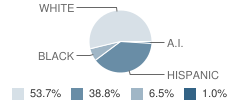 Borger Intermediate School Student Race Distribution