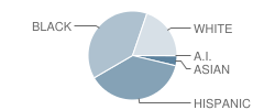 High School #6 Student Race Distribution