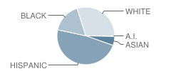 New El North School Student Race Distribution