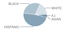 Martin School of Choice Student Race Distribution