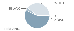 Snyder Elementary School Student Race Distribution