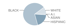 Life School Lancaster Student Race Distribution