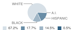 West Columbia Charter School Student Race Distribution