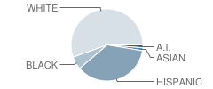 Premier High School of North Austin Student Race Distribution