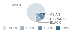 Ischool High Student Race Distribution