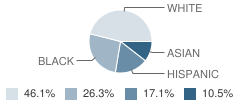 Education Center International Academy at Arlington Student Race Distribution