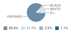 Monticello School Student Race Distribution