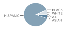 Idea Quest Academy Student Race Distribution