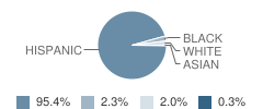 Idea College Preparatory Mission School Student Race Distribution