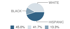 Meadowland Charter School Student Race Distribution