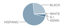 Kujawa Ec/Pre-K Center School Student Race Distribution