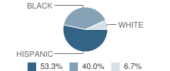 Travis County Day School Student Race Distribution