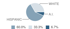 Brownfield Education Center School Student Race Distribution