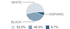 Excel Center School Student Race Distribution