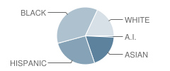 H F Mcneill Elementary School Student Race Distribution