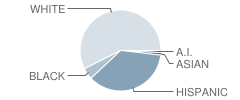 Harper Elementary School Student Race Distribution