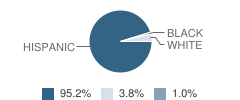 Options High School Student Race Distribution