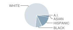 West Houston Charter School Student Race Distribution