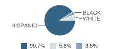 Dr M L Garza-Gonzalez Charter School Student Race Distribution