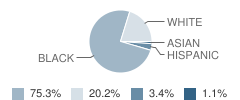 Audre and Bernard Rapoport Academy Student Race Distribution