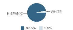 Gabriel Tafolla Charter School Student Race Distribution