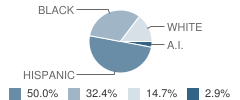John H Wood Jr Charter School at Afton Oaks Campus Student Race Distribution
