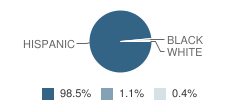 Houston Gateway Academy Student Race Distribution