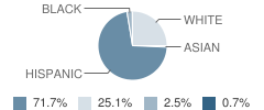 Richard Milburn Alternative High School (Corpus Christi) Student Race Distribution