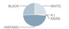 Winfree Academy Charter School Student Race Distribution